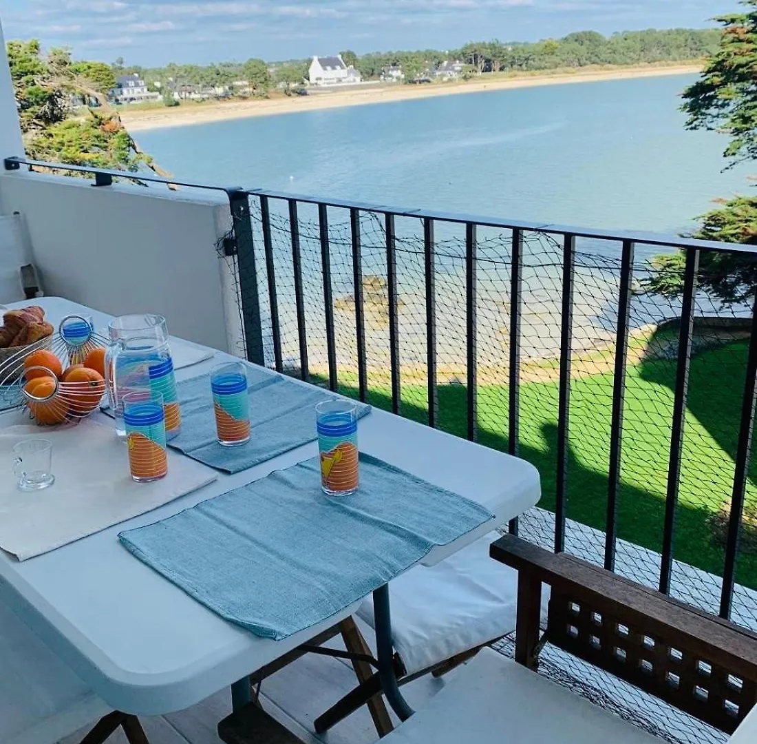 Carnac Appartement Cosy Avec Vue Mer Франция